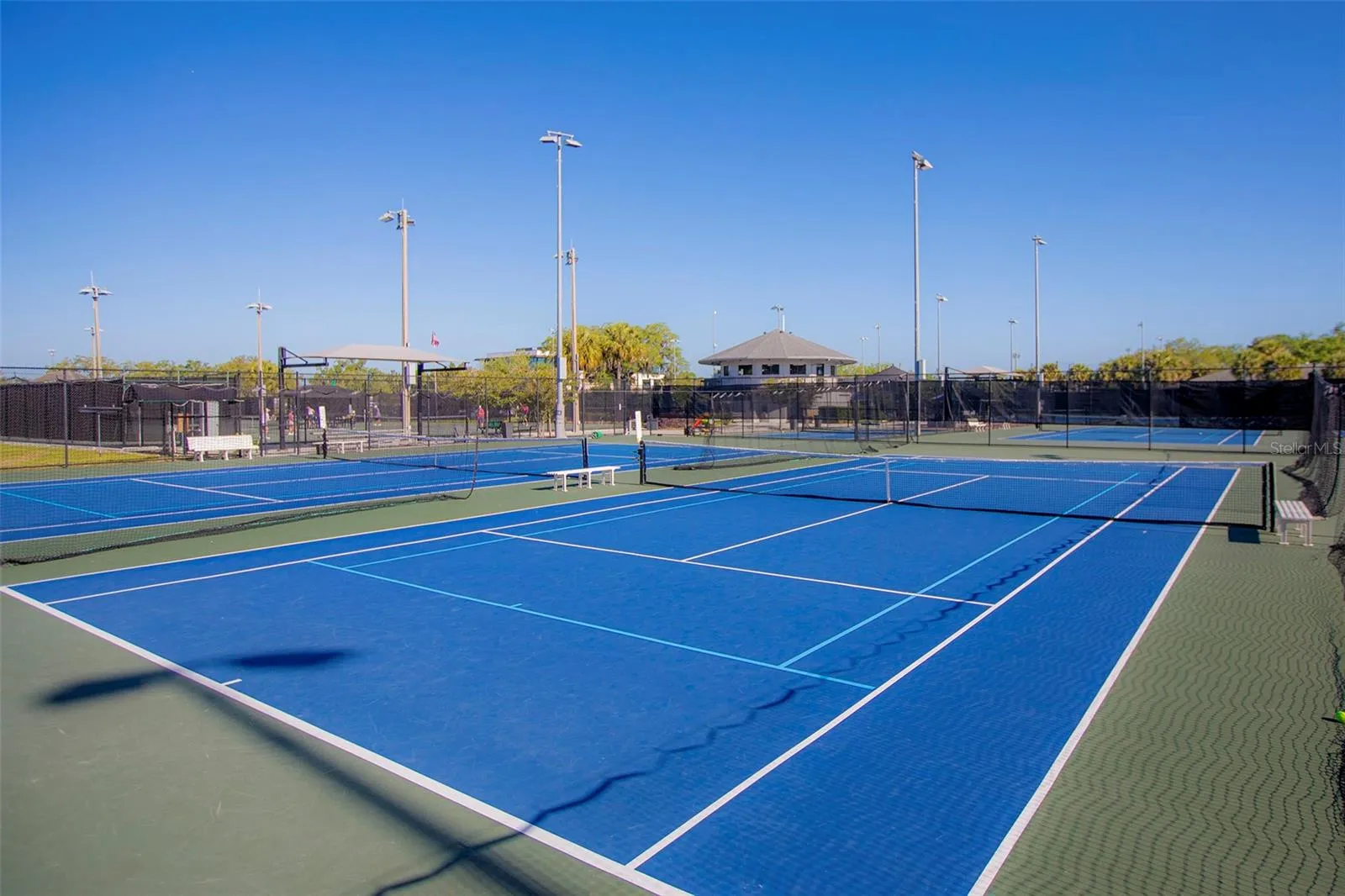 Winter Park Tennis