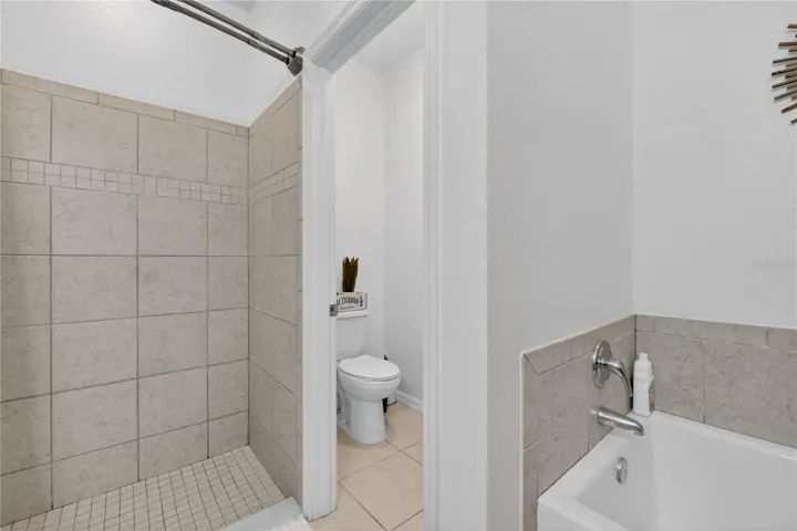 Master shower and bathroom