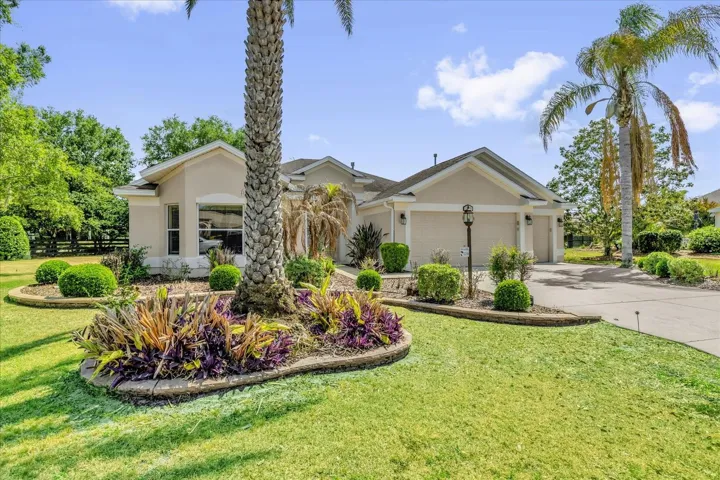 Mature Landscaping