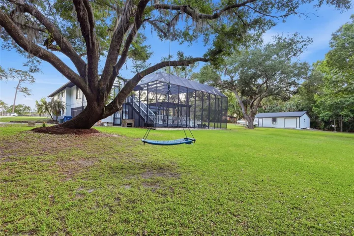 BACK YARD