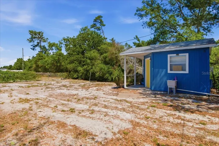 Back yard
