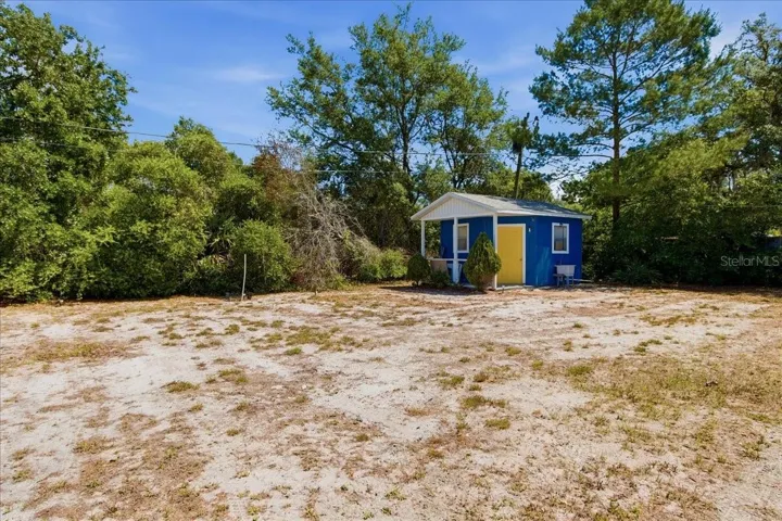 Back yard