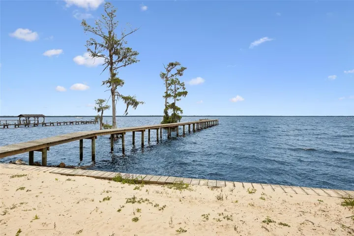 And if you look closely you'll find a mama osprey and two chicks in the second tree