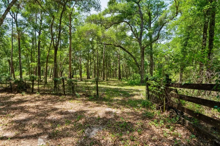 Front Pasture