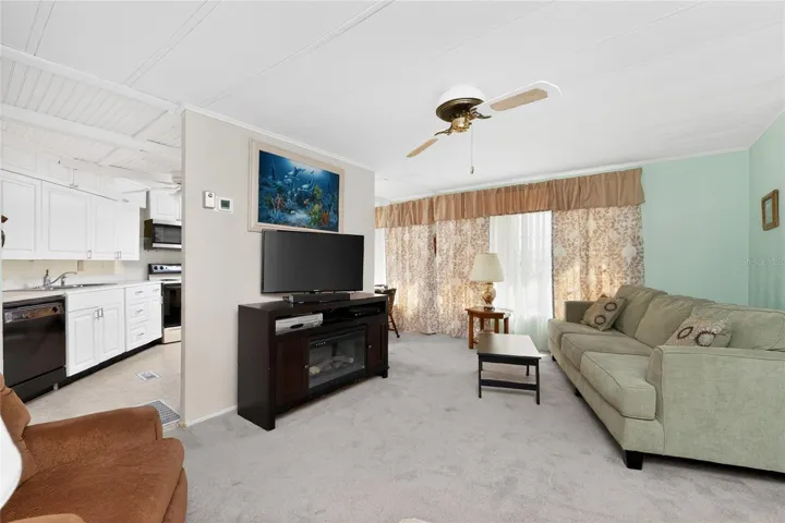 another view of the living room