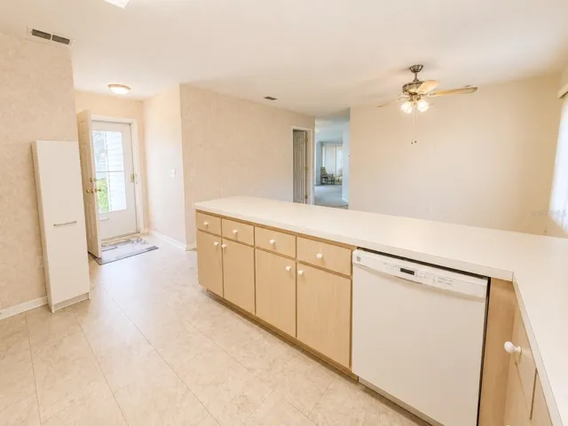 Kitchen Dishwasher