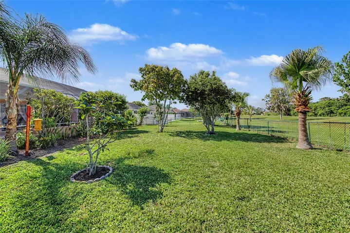 Ample room for all the kiddos and 4-legged friends to roam and play
