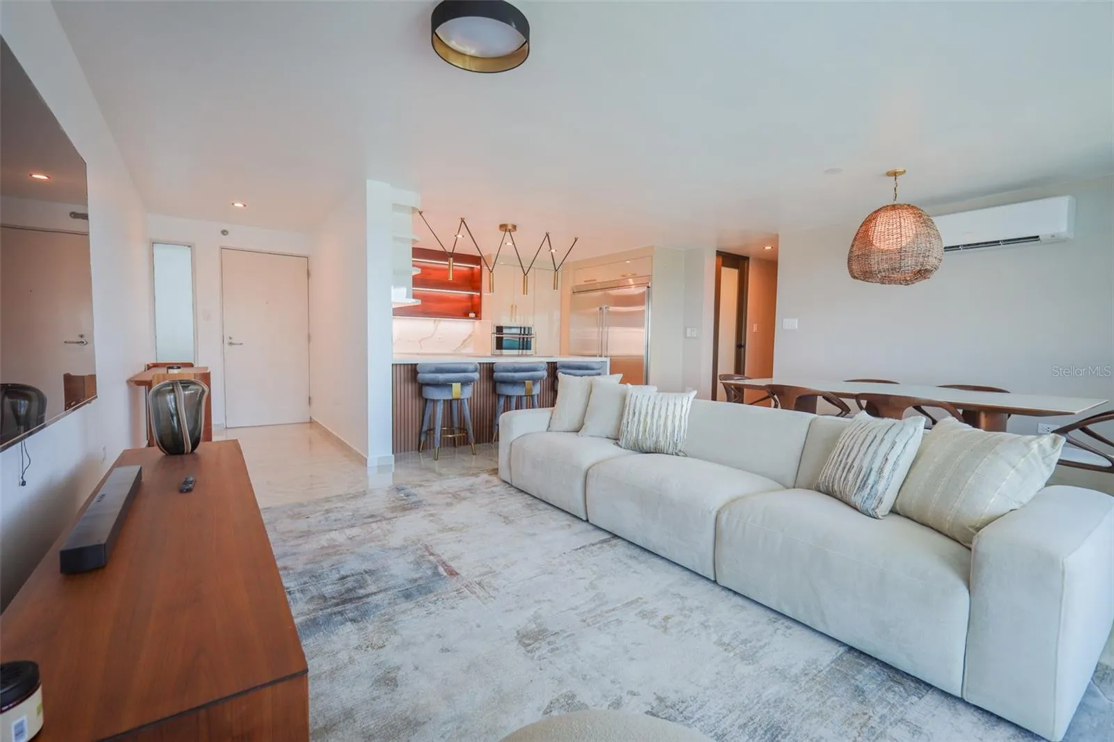 Living Room / Entrance