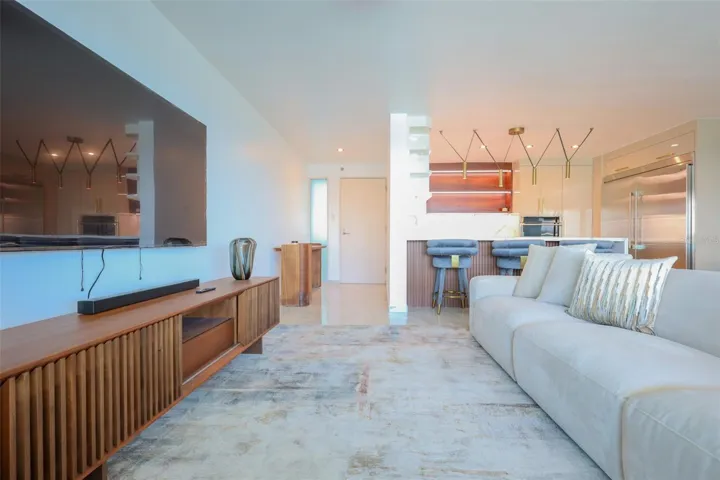 Living Room / Entrance