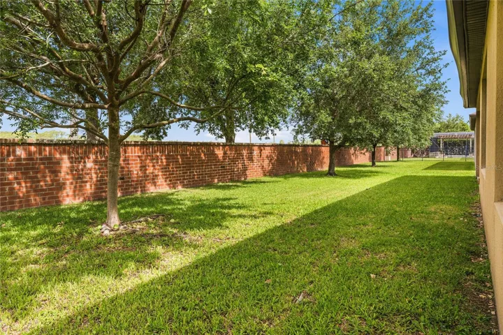 Community brick wall... no rear neighbor