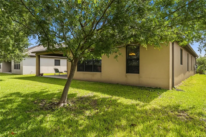 Rear yard