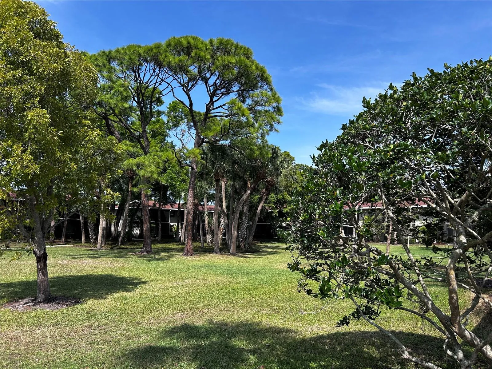Open grounds.