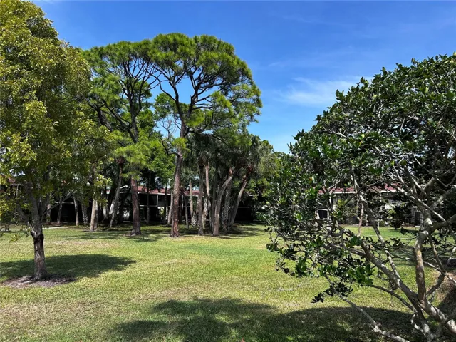 Open grounds.