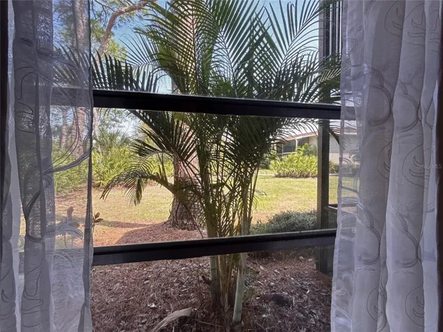 Bedroom window view