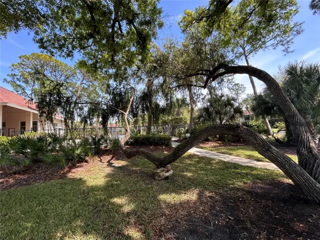 Interesting treescape!