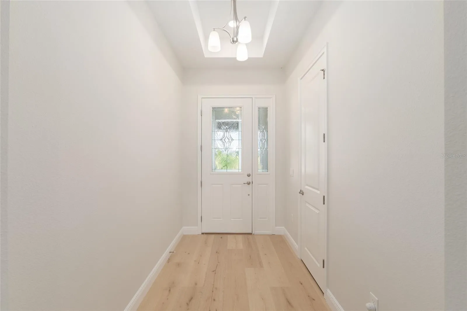 Additional lighting and beautiful details in the front door.