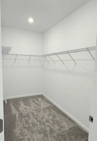 Spacious Walking closet in Master Bedroom