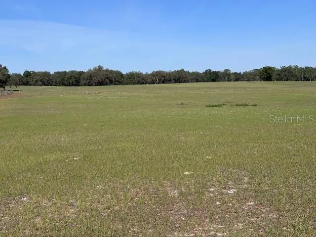 open pasture