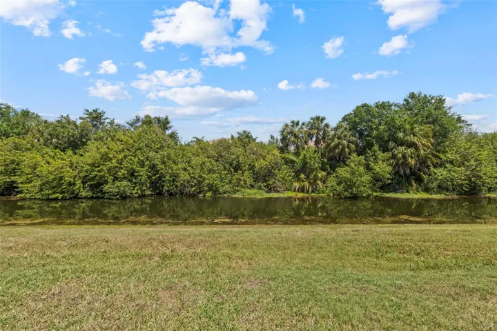 Backyard/Water View