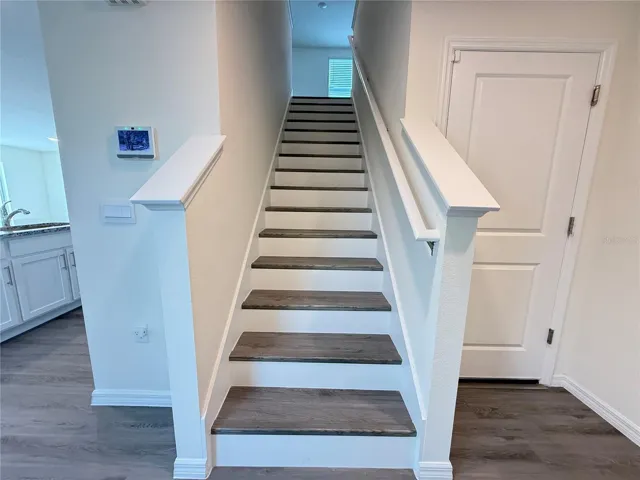 no carpet