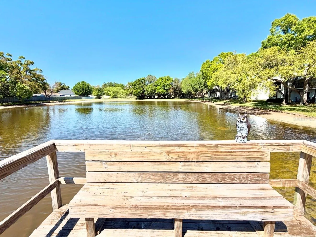 The south side of the lake from the dock.