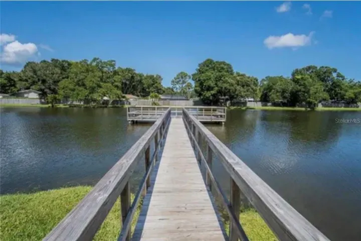 The lake and dock.
