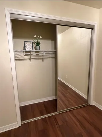 Full-length mirror doors