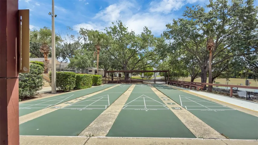 Community Shuffleboard