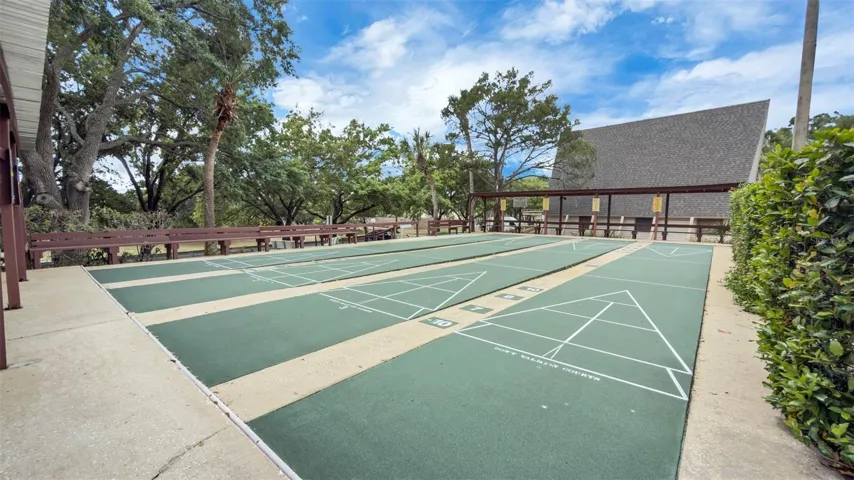 Community Shuffleboard
