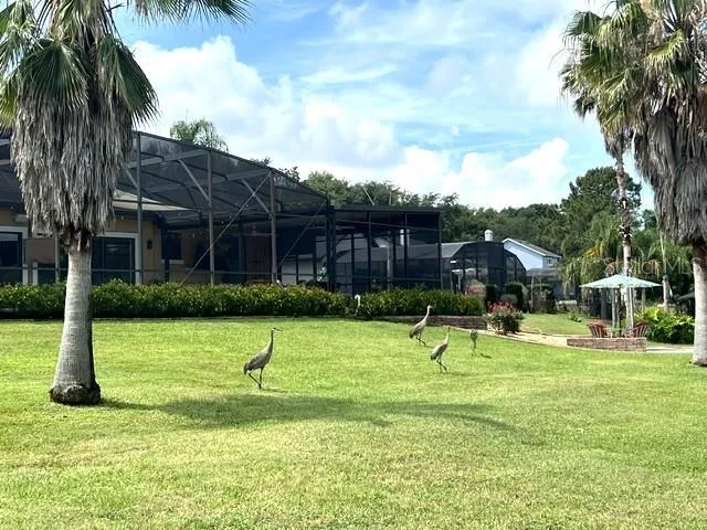 Frequent Visitors