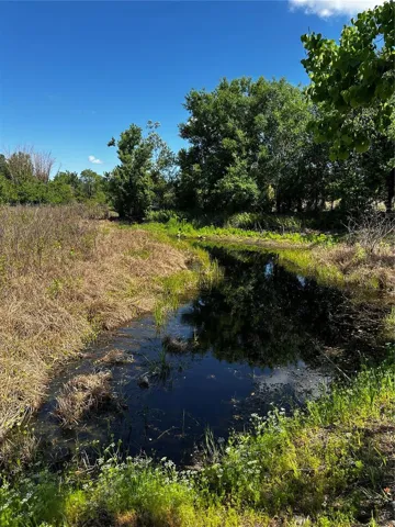 Pond