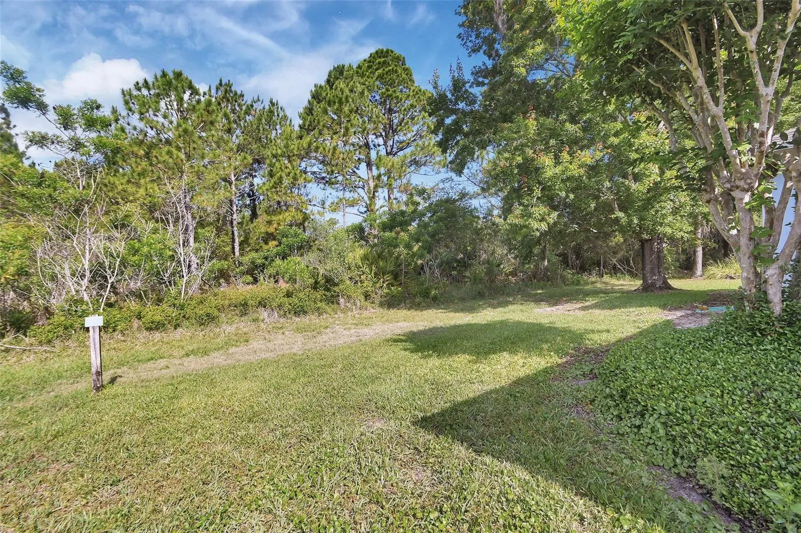 back yard