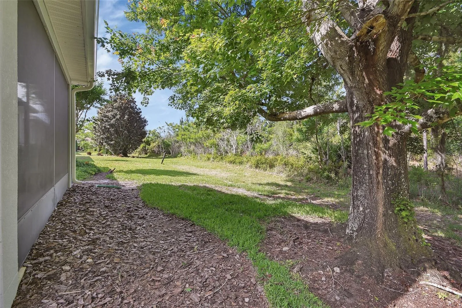 back yard