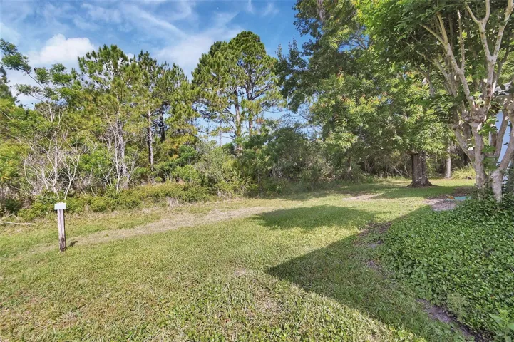 back yard