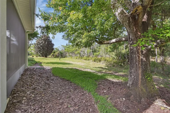 back yard