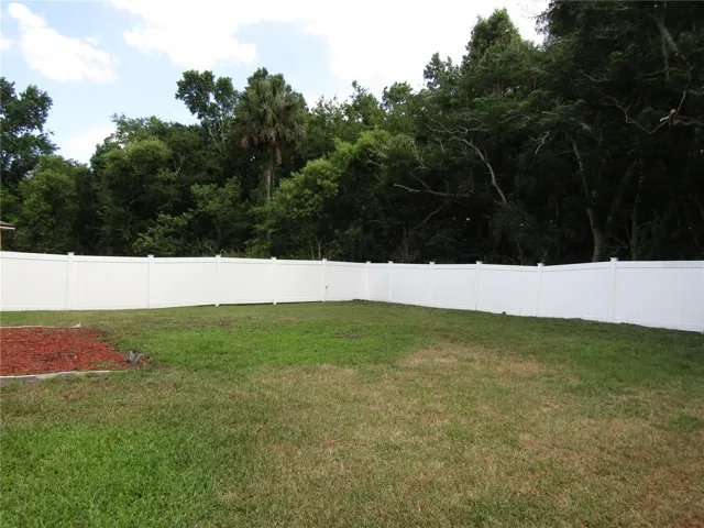 fenced back yard