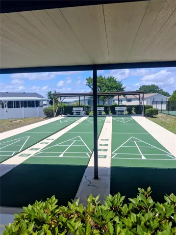 Shuffleboard