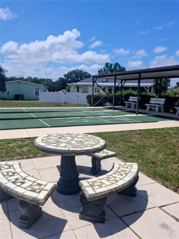 Shuffleboard