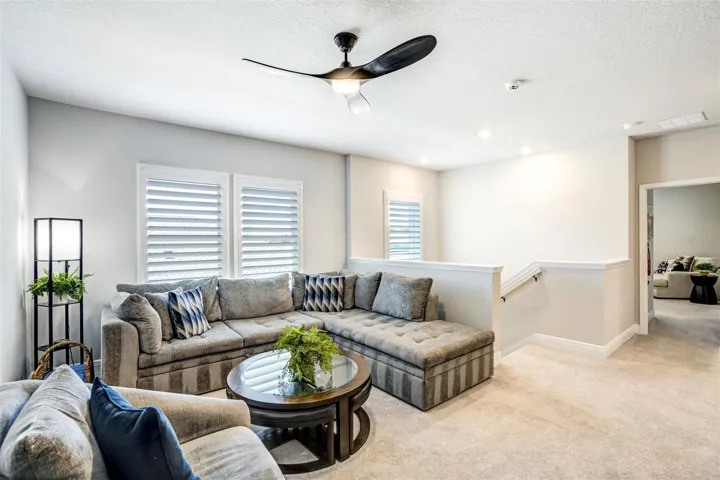 Loft Area