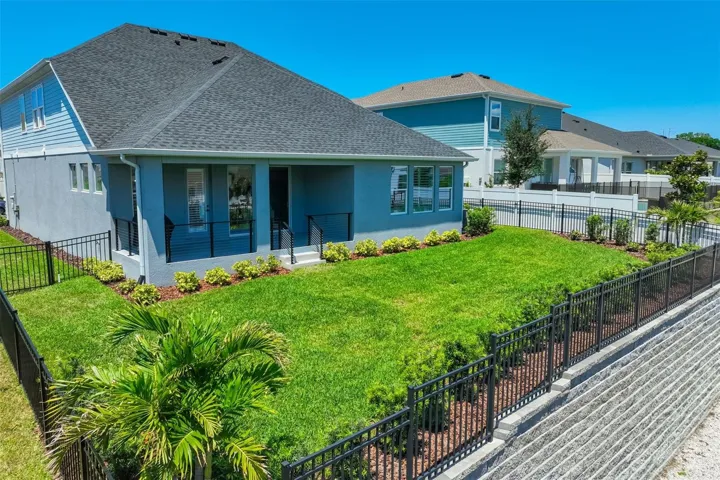 View of Backyard