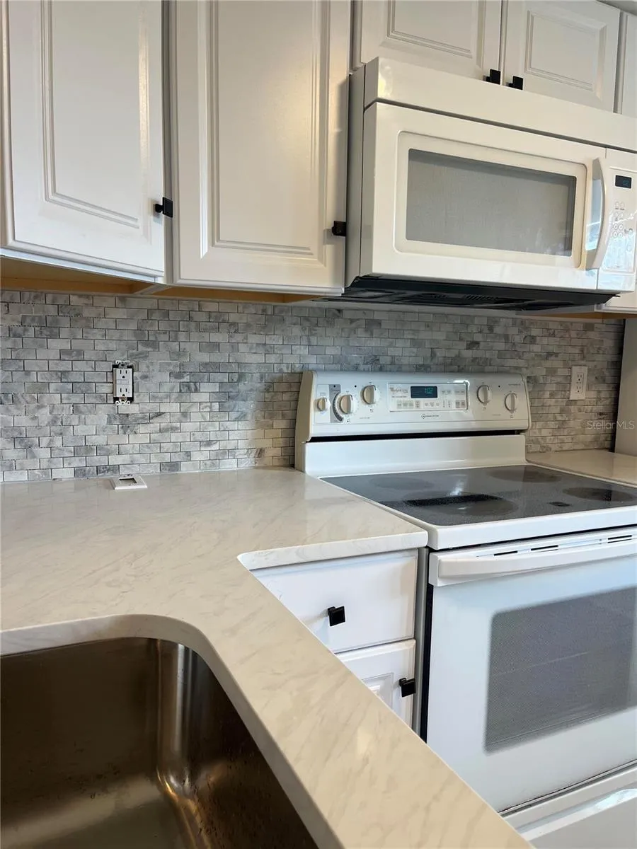 NEW KITCHEN WITH NEW CABINETS