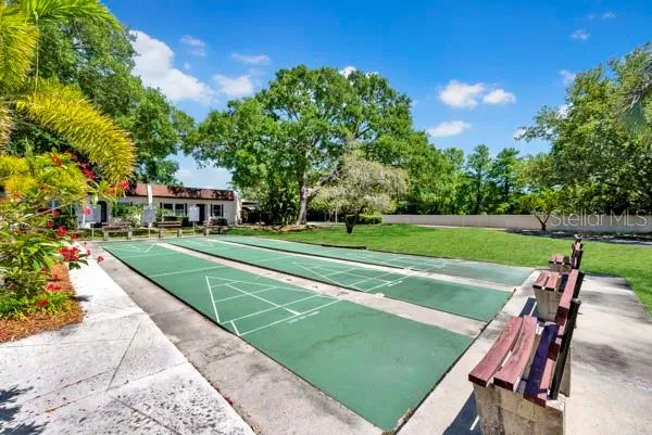 SHUFFLEBOARD