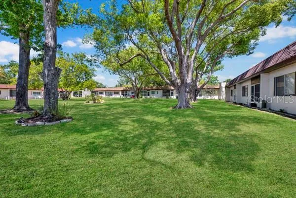 BACKYARD GREEN AREA