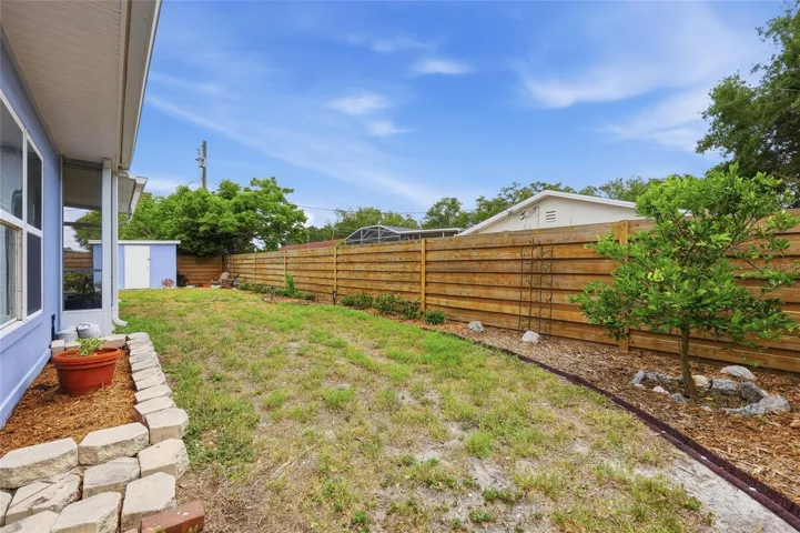 Backyard and Shed