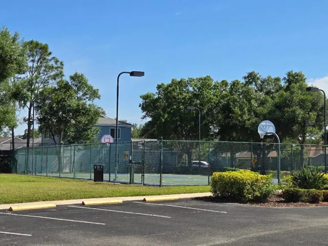 Basketball anyone?