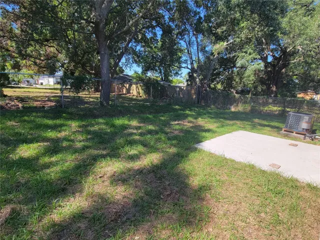 Backyard