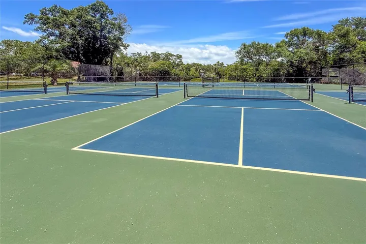 Tennis anyone?