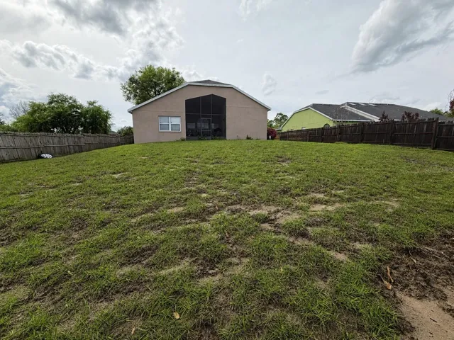 View of the back yard