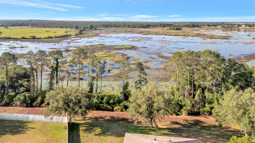 Conservation Views