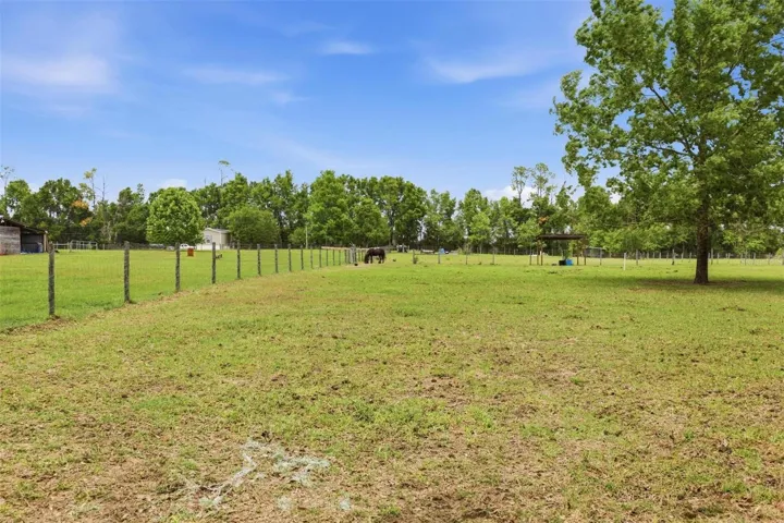 Fenced Paddock With Shelter